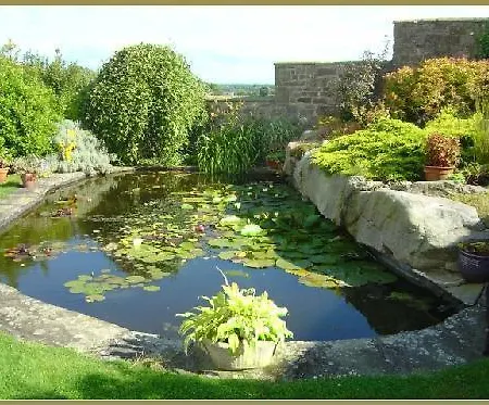 Mill Close Bed & Breakfast 5*