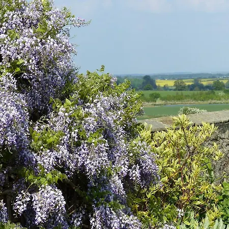 Mill Close 住宿加早餐酒店 5*