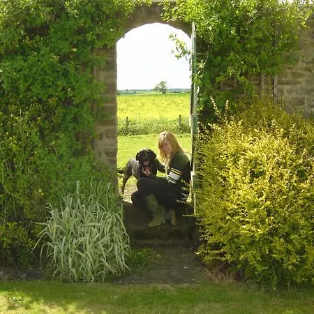 Mill Close 住宿加早餐酒店 贝德尔