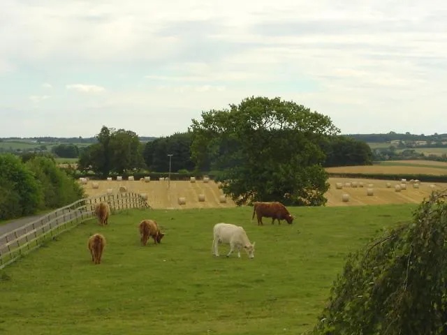 Bed & Breakfast Mill Close 5*